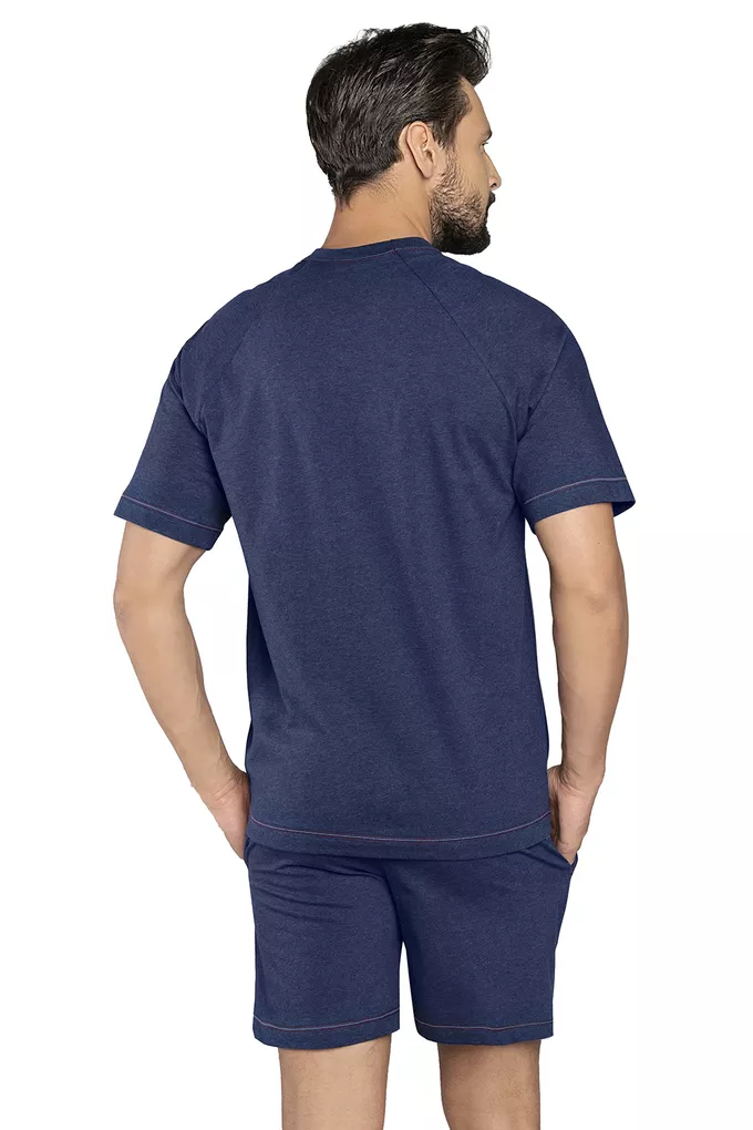 Italian Fashion Hass kr.r. kr.sp.