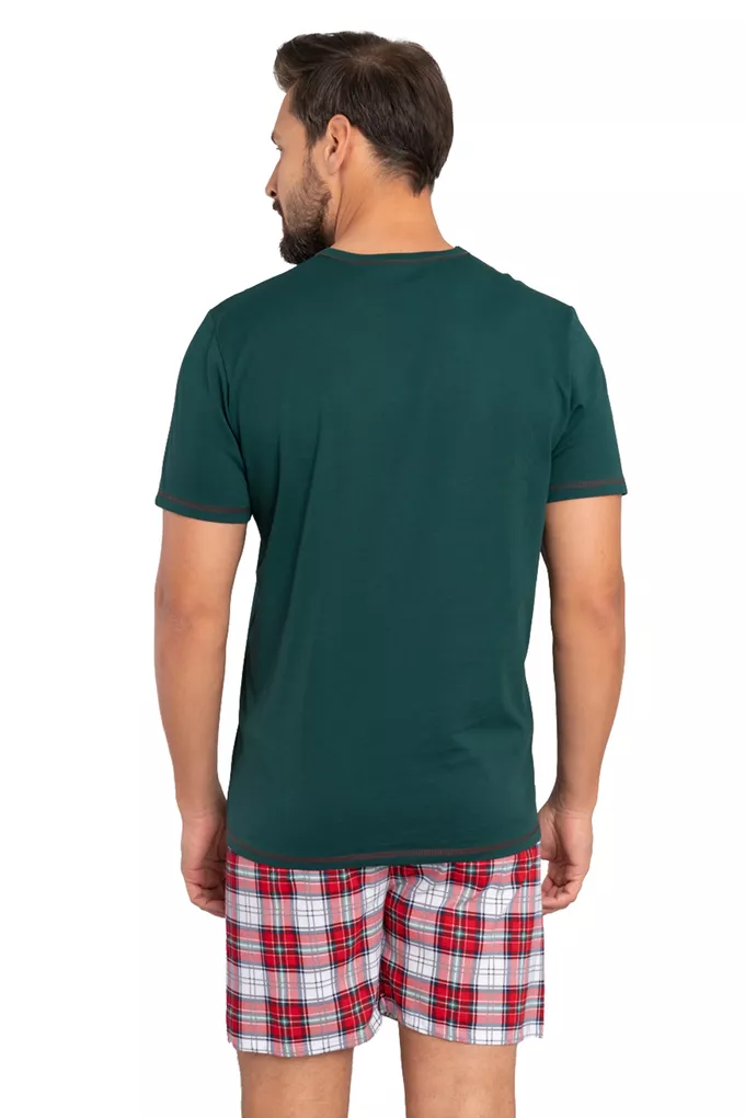 Italian Fashion Moss kr.r. kr.sp.