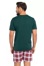 Italian Fashion Moss kr.r. kr.sp.