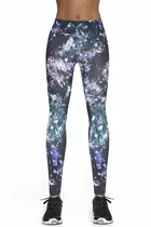 Bas Bleu Andromeda